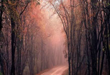 恩比德职业生涯总薪资超过5亿 比肩詹库杜乔治.