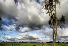 南宫28官网：[法甲]摩纳哥逆转尼斯 大巴黎提前夺冠愿景破灭.