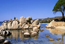 南宫28官网：[高尔夫]美国女子公开赛资格赛场地公布 26场资格赛开启报名.